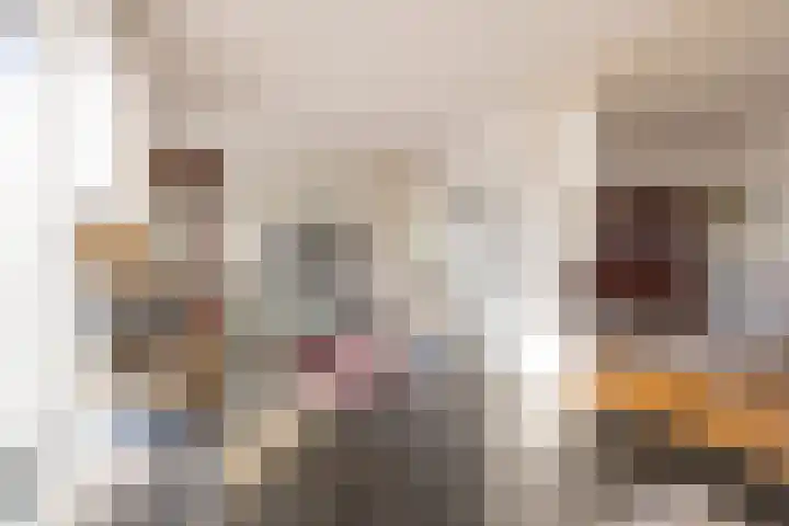Frans Tromplaan 19 Hoevelaken thumbnail 5