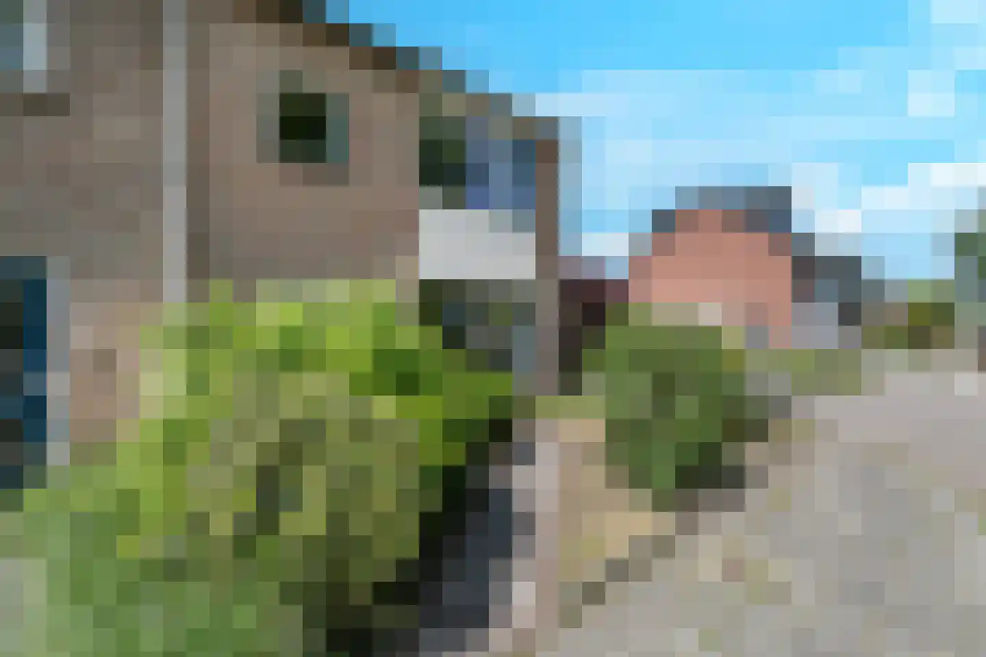 Frans Tromplaan 30 Hoevelaken thumbnail 46