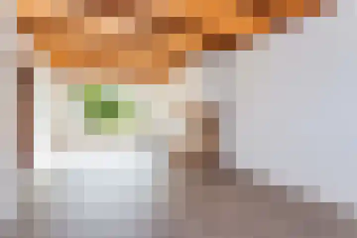 Frans Tromplaan 48 Hoevelaken thumbnail 10