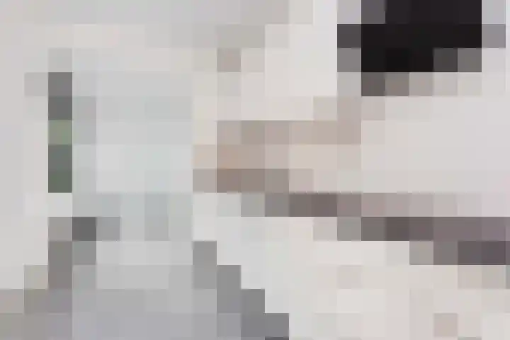 Frans Tromplaan 48 Hoevelaken thumbnail 11
