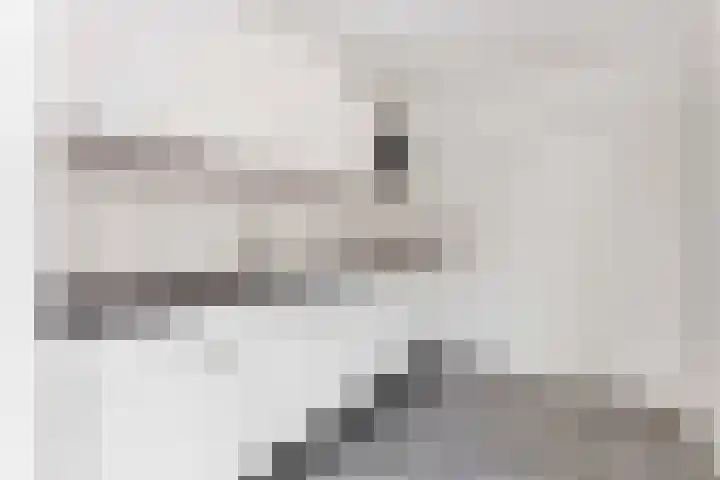 Frans Tromplaan 48 Hoevelaken thumbnail 12