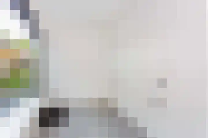 Frans Tromplaan 48 Hoevelaken thumbnail 13