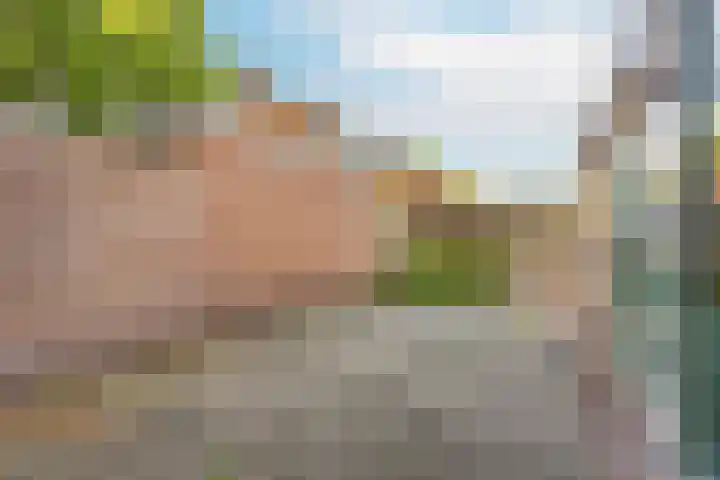 Frans Tromplaan 48 Hoevelaken thumbnail 16