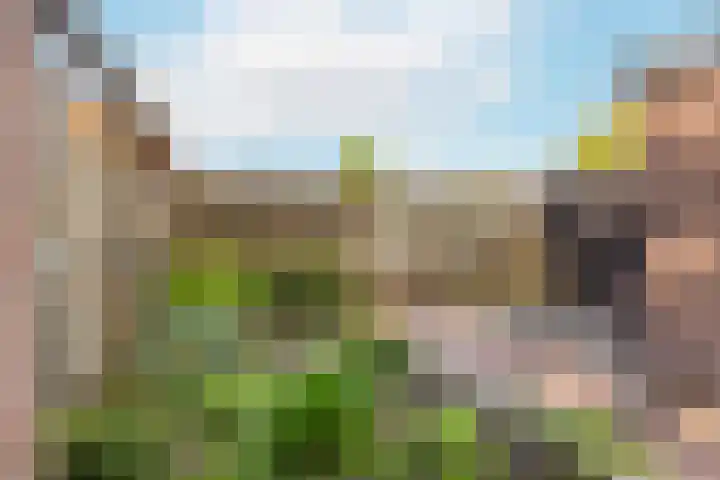 Frans Tromplaan 48 Hoevelaken thumbnail 17