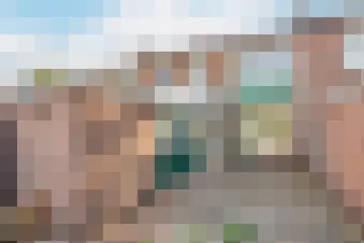 Frans Tromplaan 48 Hoevelaken thumbnail 20