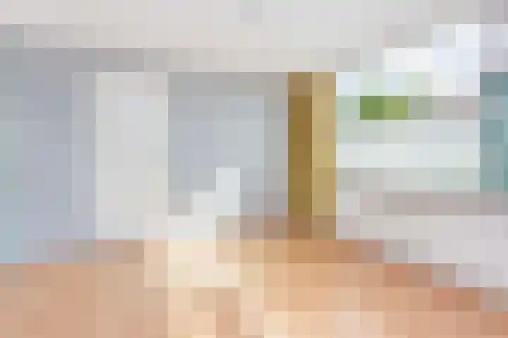 Frans Tromplaan 48 Hoevelaken thumbnail 28