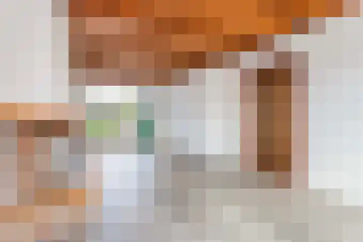 Frans Tromplaan 48 Hoevelaken thumbnail 8