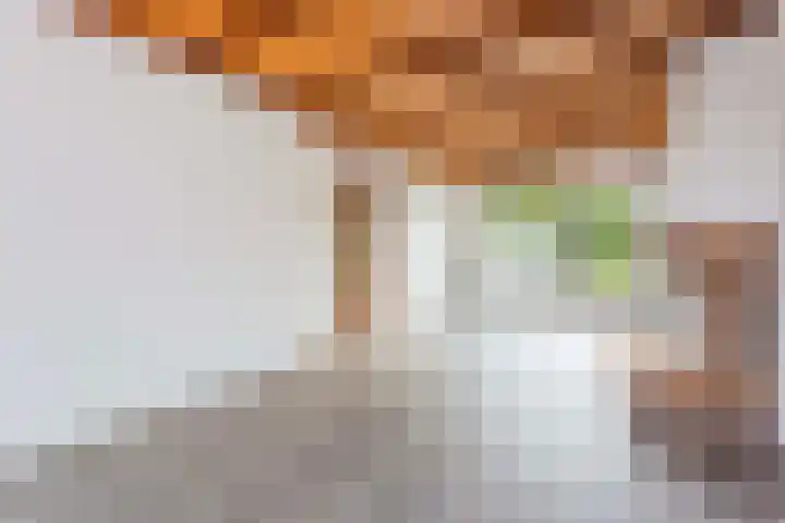 Frans Tromplaan 48 Hoevelaken thumbnail 9
