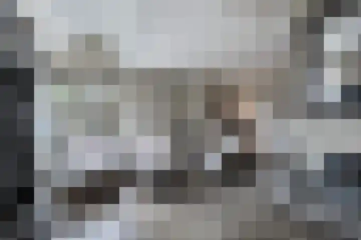 Frans Tromplaan 77 Hoevelaken thumbnail 10