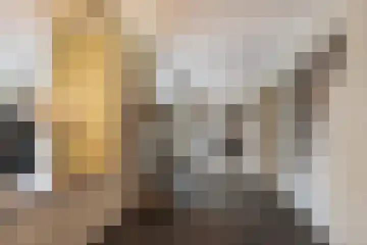 Frans Tromplaan 77 Hoevelaken thumbnail 11