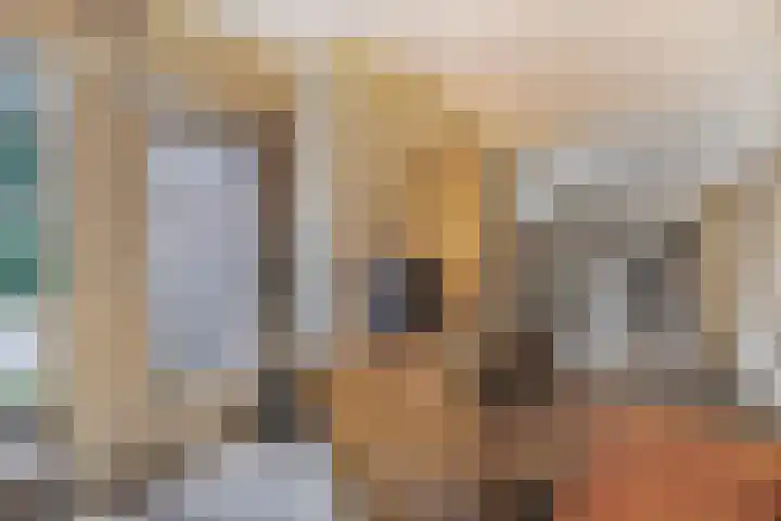 Frans Tromplaan 77 Hoevelaken thumbnail 13