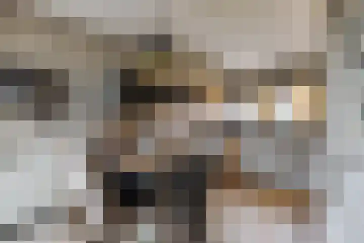 Frans Tromplaan 77 Hoevelaken thumbnail 14