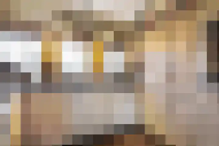 Frans Tromplaan 77 Hoevelaken thumbnail 16