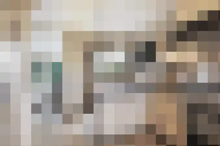 Frans Tromplaan 77 Hoevelaken thumbnail 17