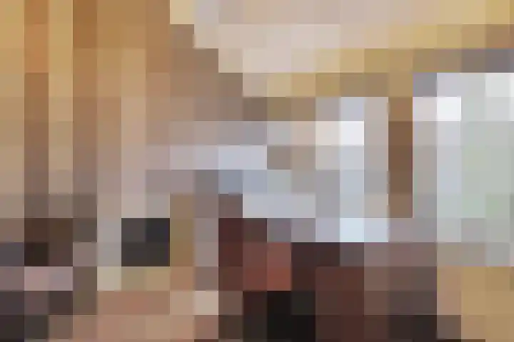 Frans Tromplaan 77 Hoevelaken thumbnail 18