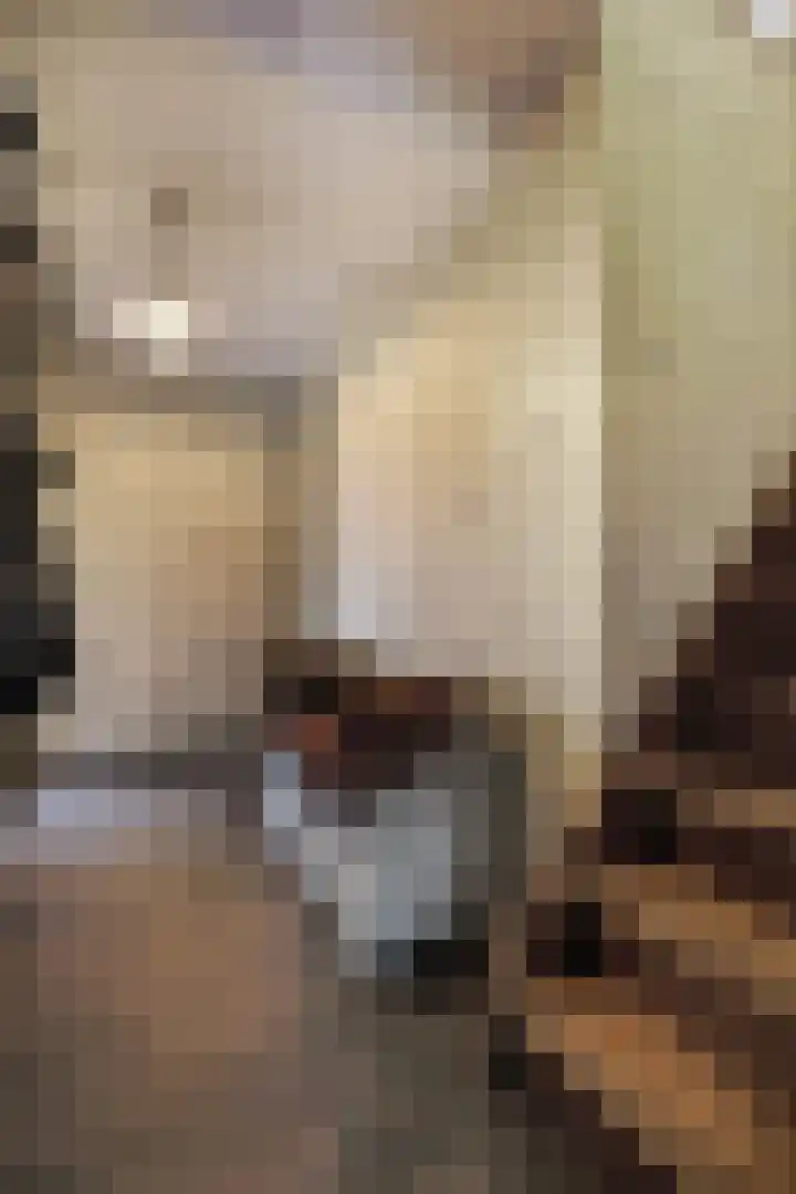 Frans Tromplaan 77 Hoevelaken thumbnail 25