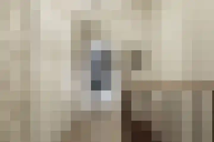 Frans Tromplaan 77 Hoevelaken thumbnail 26