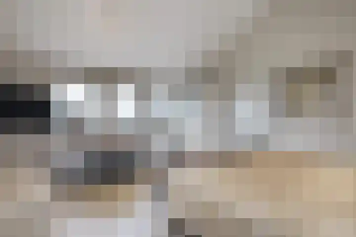 Frans Tromplaan 77 Hoevelaken thumbnail 30