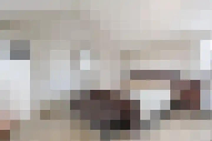 Frans Tromplaan 77 Hoevelaken thumbnail 31
