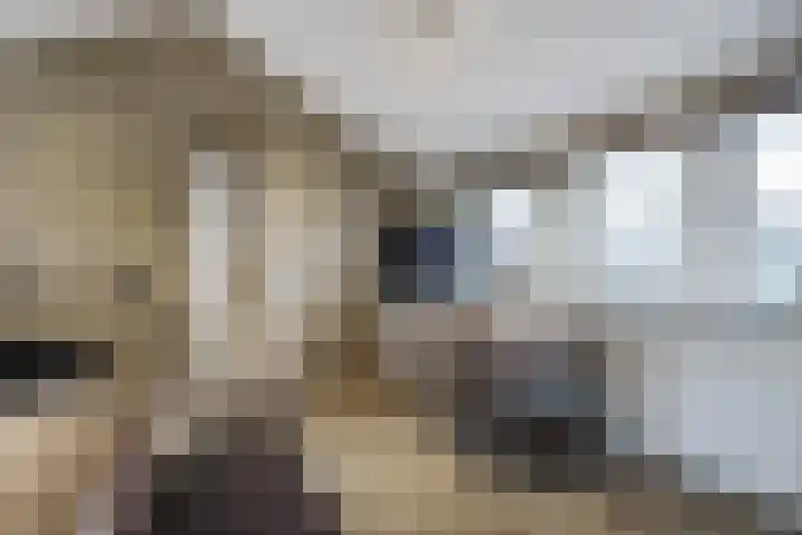 Frans Tromplaan 77 Hoevelaken thumbnail 32