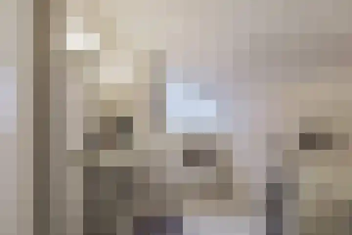Frans Tromplaan 77 Hoevelaken thumbnail 38