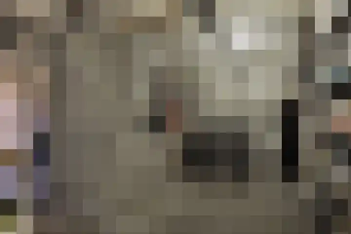 Frans Tromplaan 77 Hoevelaken thumbnail 39