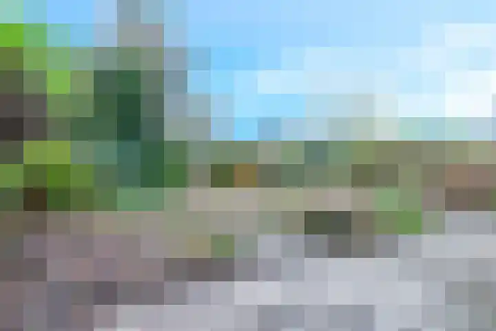 Frans Tromplaan 77 Hoevelaken thumbnail 41