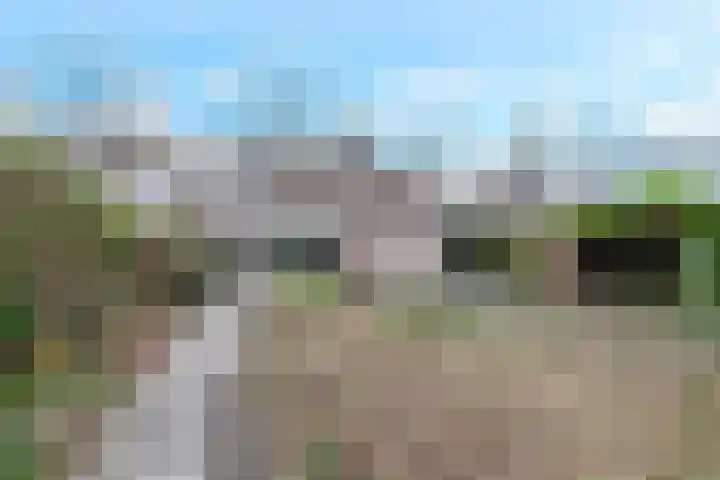 Frans Tromplaan 77 Hoevelaken thumbnail 42