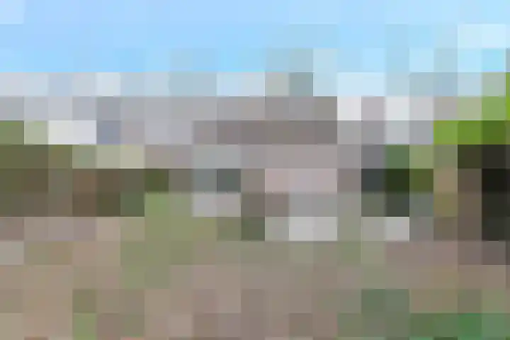 Frans Tromplaan 77 Hoevelaken thumbnail 43