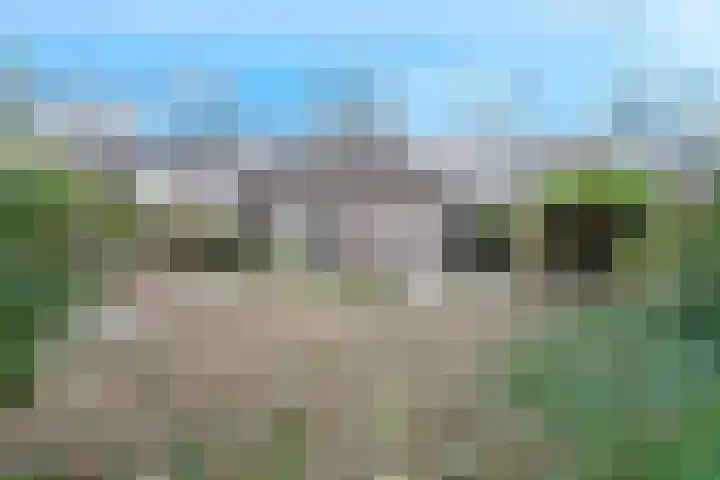 Frans Tromplaan 77 Hoevelaken thumbnail 44