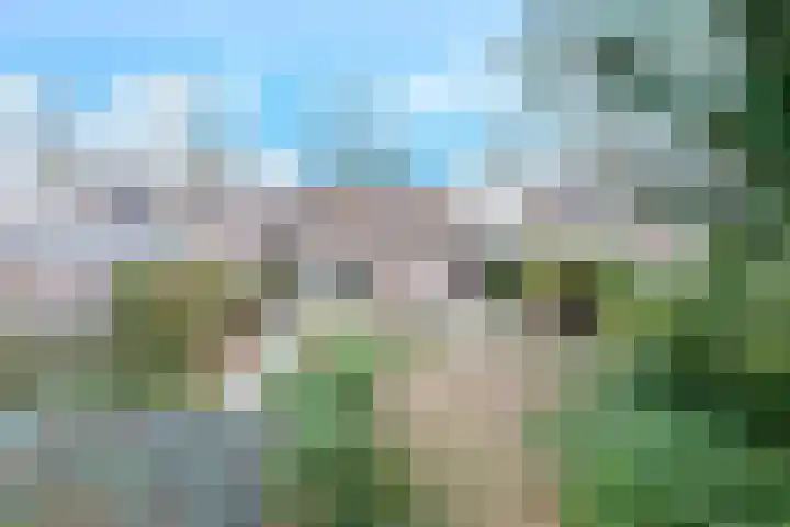 Frans Tromplaan 77 Hoevelaken thumbnail 45