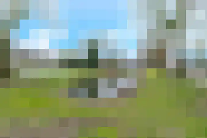 Frans Tromplaan 77 Hoevelaken thumbnail 46