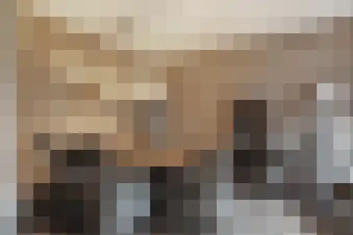 Frans Tromplaan 77 Hoevelaken thumbnail 5