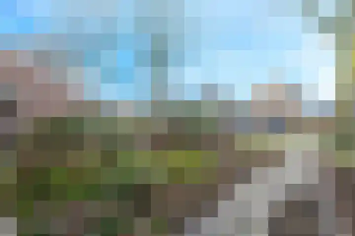Frans Tromplaan 77 Hoevelaken thumbnail 51