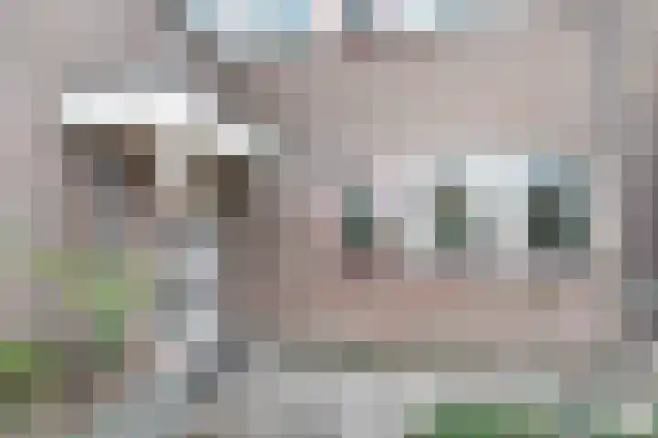 Frans Tromplaan 77 Hoevelaken thumbnail 52