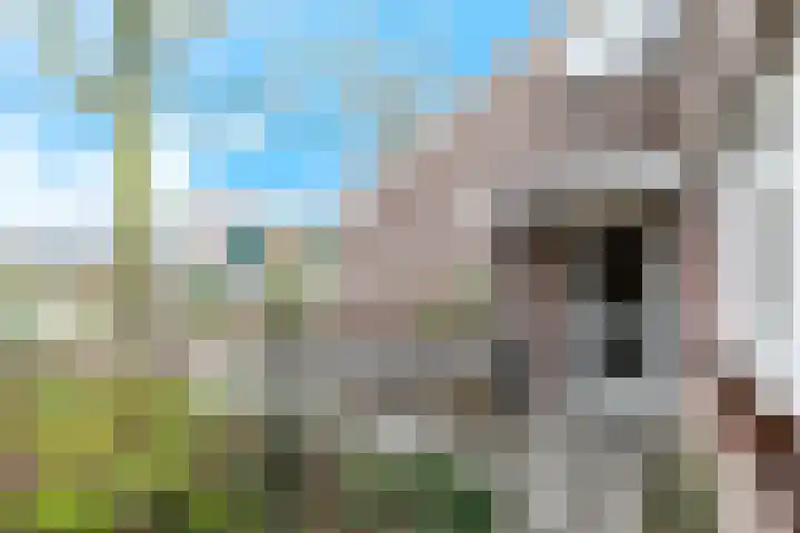 Frans Tromplaan 77 Hoevelaken thumbnail 53