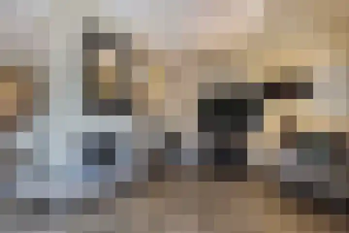 Frans Tromplaan 77 Hoevelaken thumbnail 6