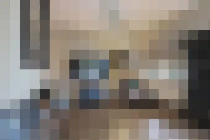 Frans Tromplaan 77 Hoevelaken thumbnail 7