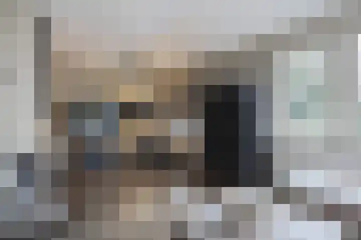 Frans Tromplaan 77 Hoevelaken thumbnail 8