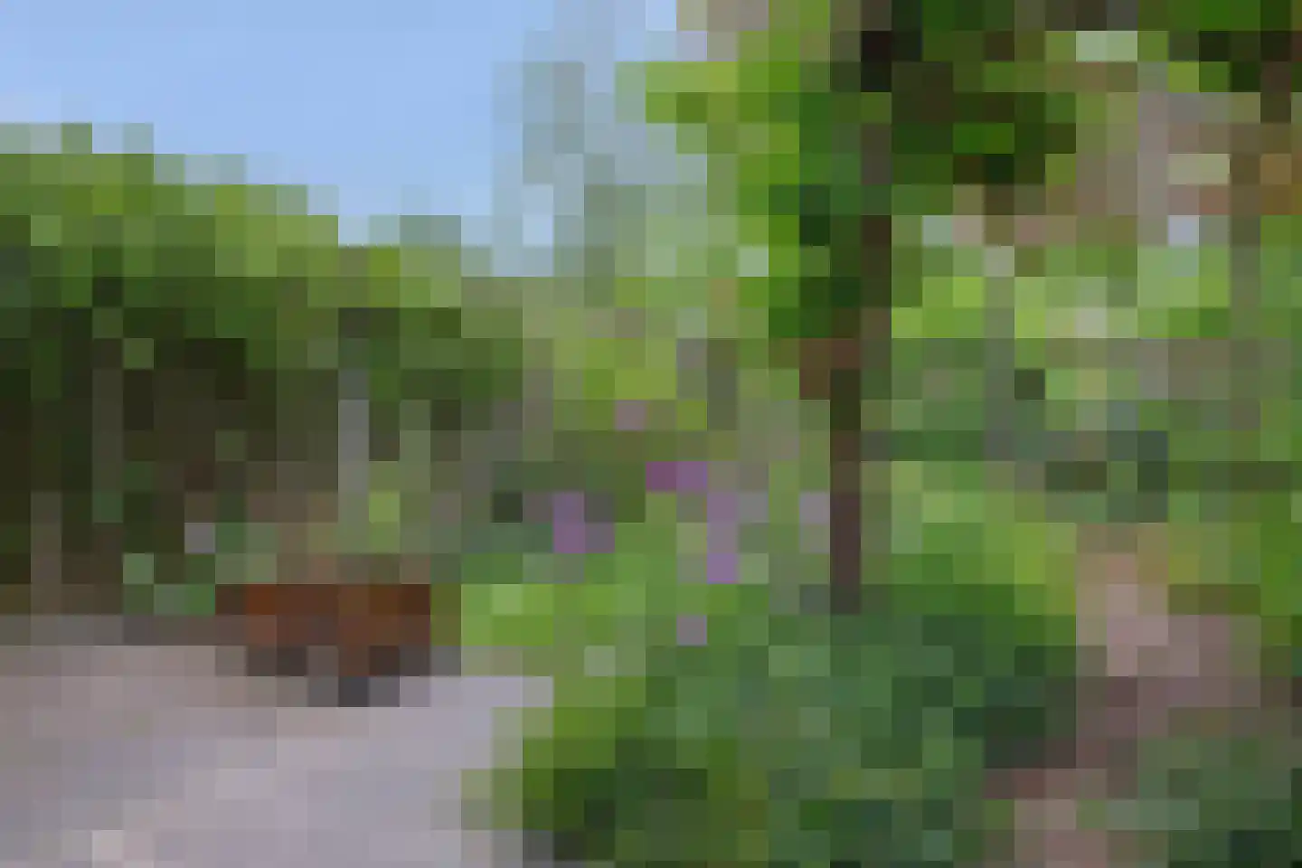Frans van Bommelstraat 14 Helmond thumbnail 46