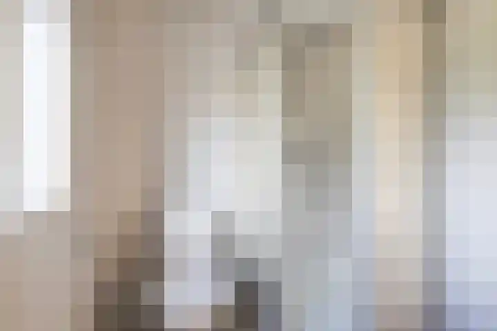 Frans van Dijklaan 24 Doorn thumbnail 19