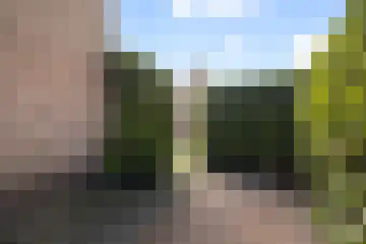 Frans van Dijklaan 24 Doorn thumbnail 28