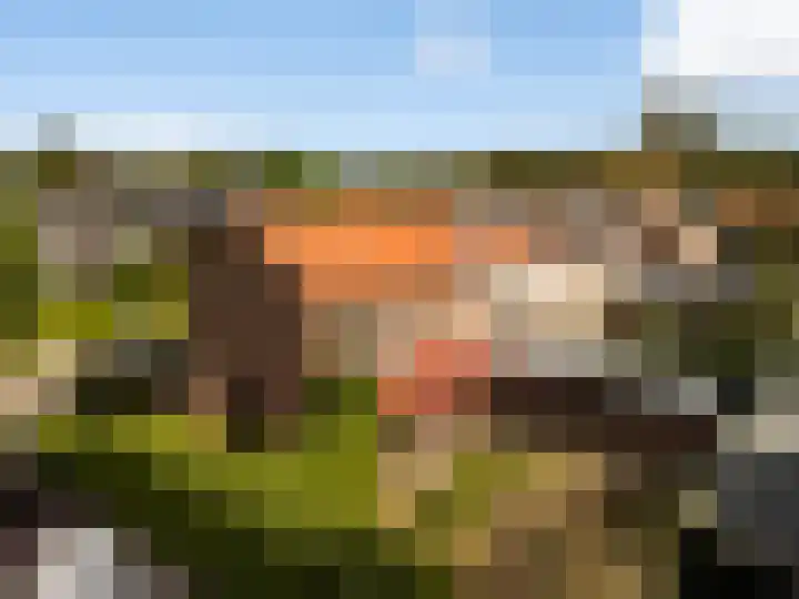 Frans van Dijklaan 24 Doorn thumbnail 30