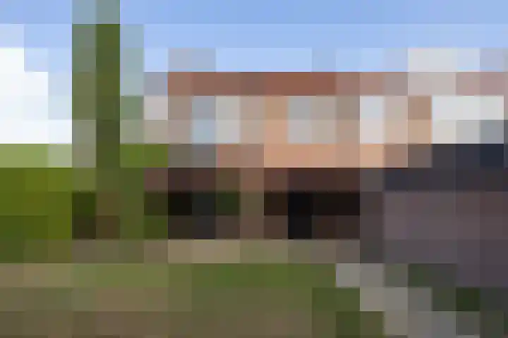 Frans van Dijklaan 24 Doorn thumbnail 4
