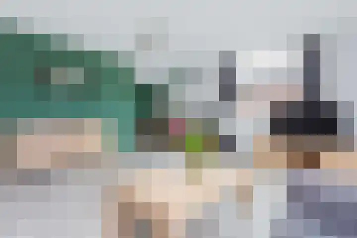 Frans van Mierishage 8 Nieuwegein thumbnail 10