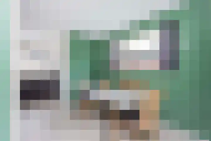 Frans van Mierishage 8 Nieuwegein thumbnail 13