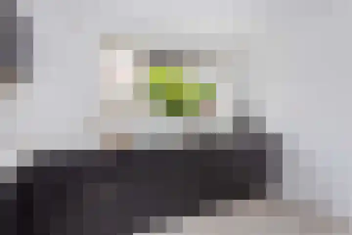 Frans van Mierishage 8 Nieuwegein thumbnail 18