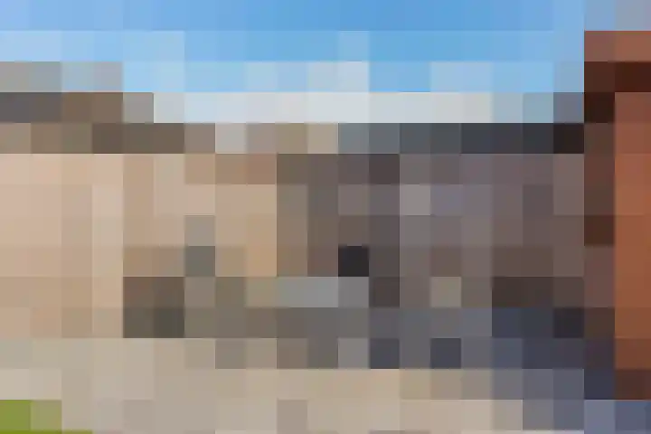 Frans van Mierishage 8 Nieuwegein thumbnail 24