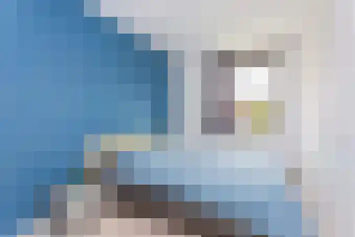 Frans van Mierishage 8 Nieuwegein thumbnail 25