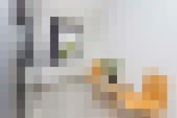 Frans van Mierishage 8 Nieuwegein thumbnail 27